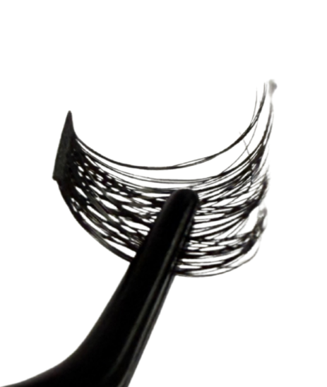 Volume Lashes